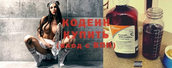 прущие грибы Бородино