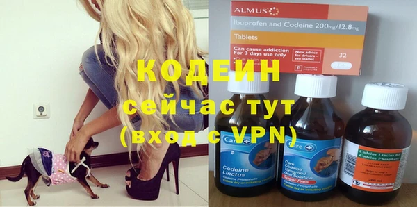 прущие грибы Бородино