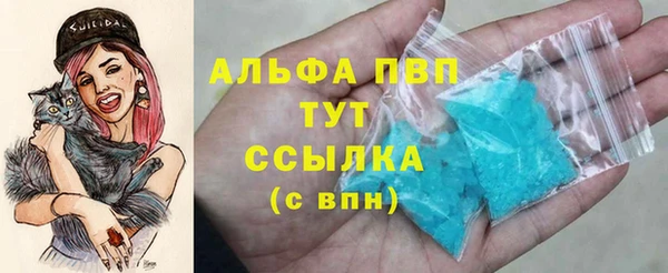 прущие грибы Бородино
