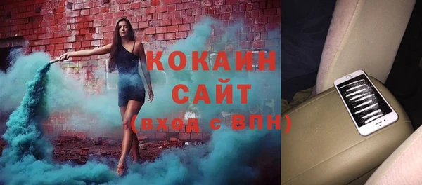прущие грибы Бородино
