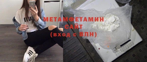 прущие грибы Бородино